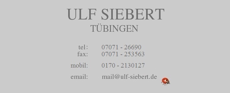 ULF SIEBERT - Tbingen